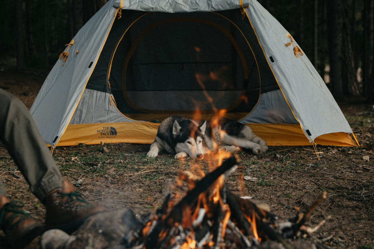 Como montar um acampamento seguro mesmo sendo iniciante