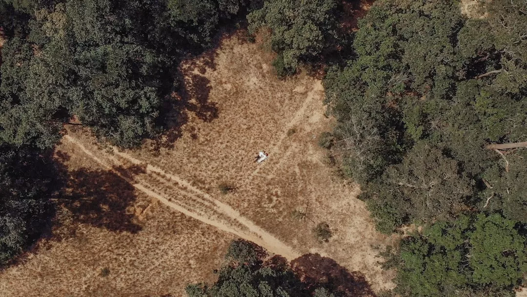 Como acampar na floresta