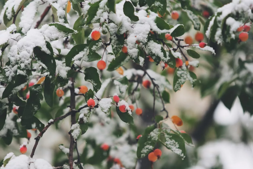Como acampar no frio