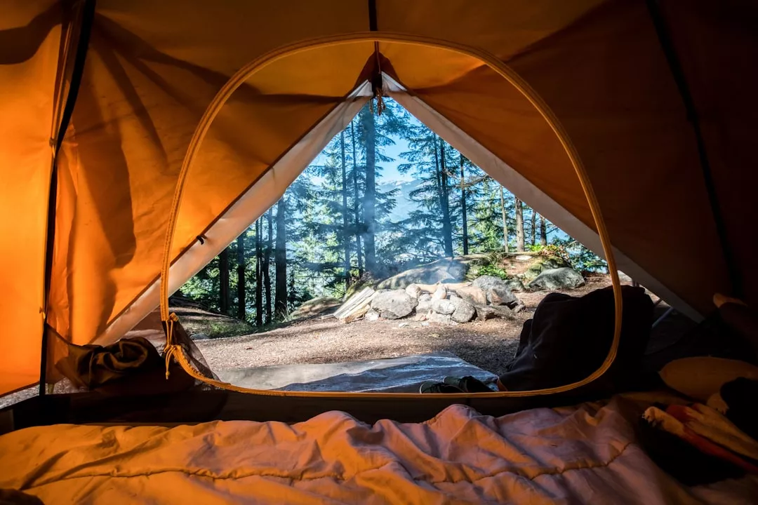 Como afastar as cobras do acampamento